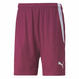 (image for) PUMA Short TeamLIGA